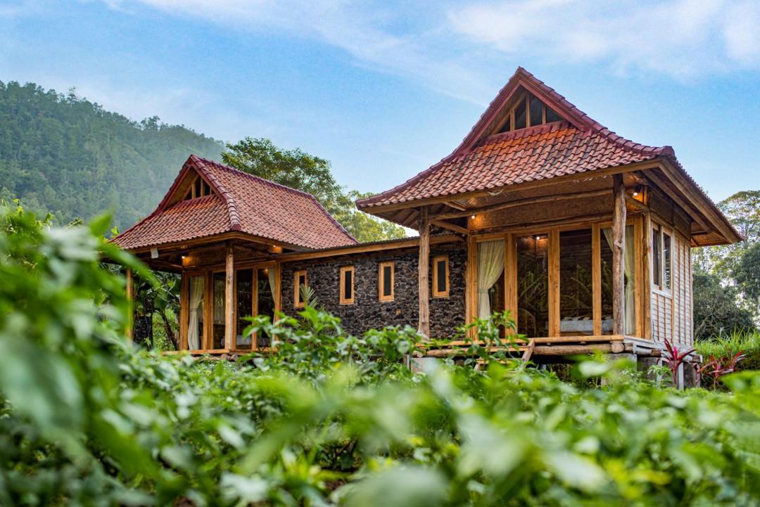 Pondok Manoka Kintamani Eksteriør bilde
