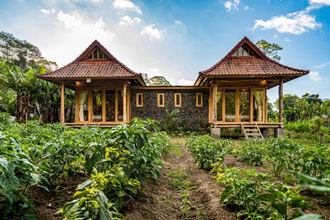 Pondok Manoka Kintamani Eksteriør bilde